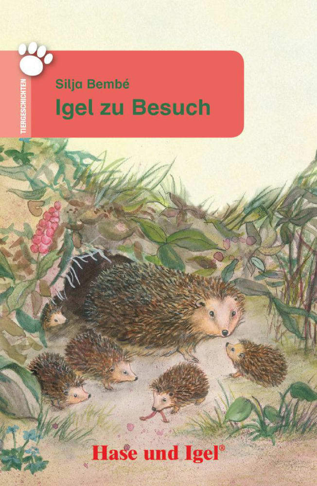 Produktbild: Igel zu Besuch | Silja Bembé