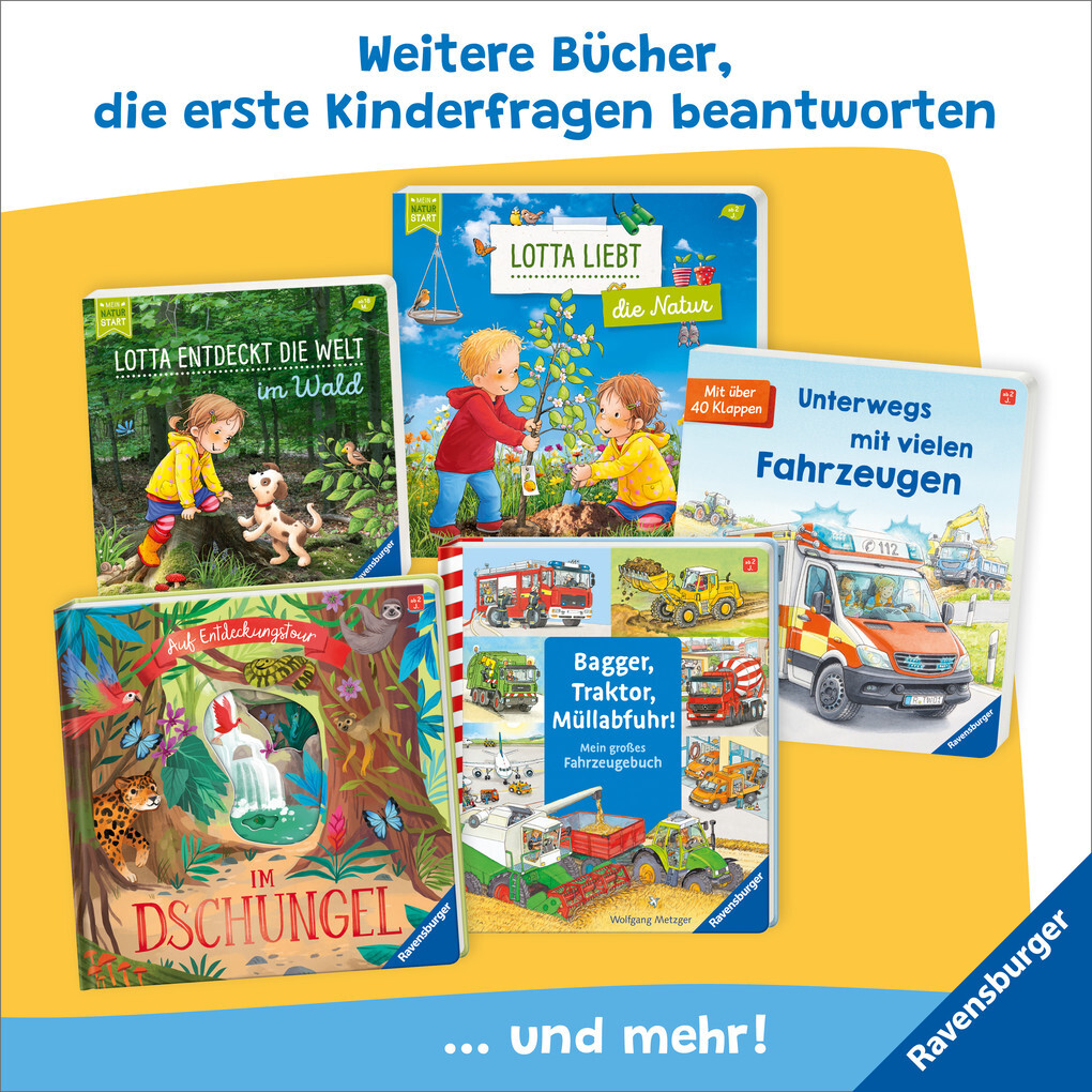 Weitere Ansicht: Mein erstes Gucklochbuch: Farben | Klaus Bliesener