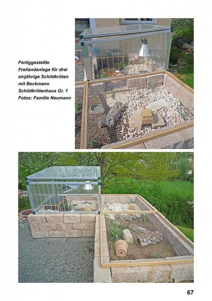 Weitere Ansicht: Landschildkröten-Freilandanlagen | Ricarda Schramm