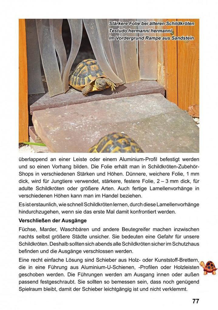 Weitere Ansicht: Landschildkröten-Freilandanlagen | Ricarda Schramm