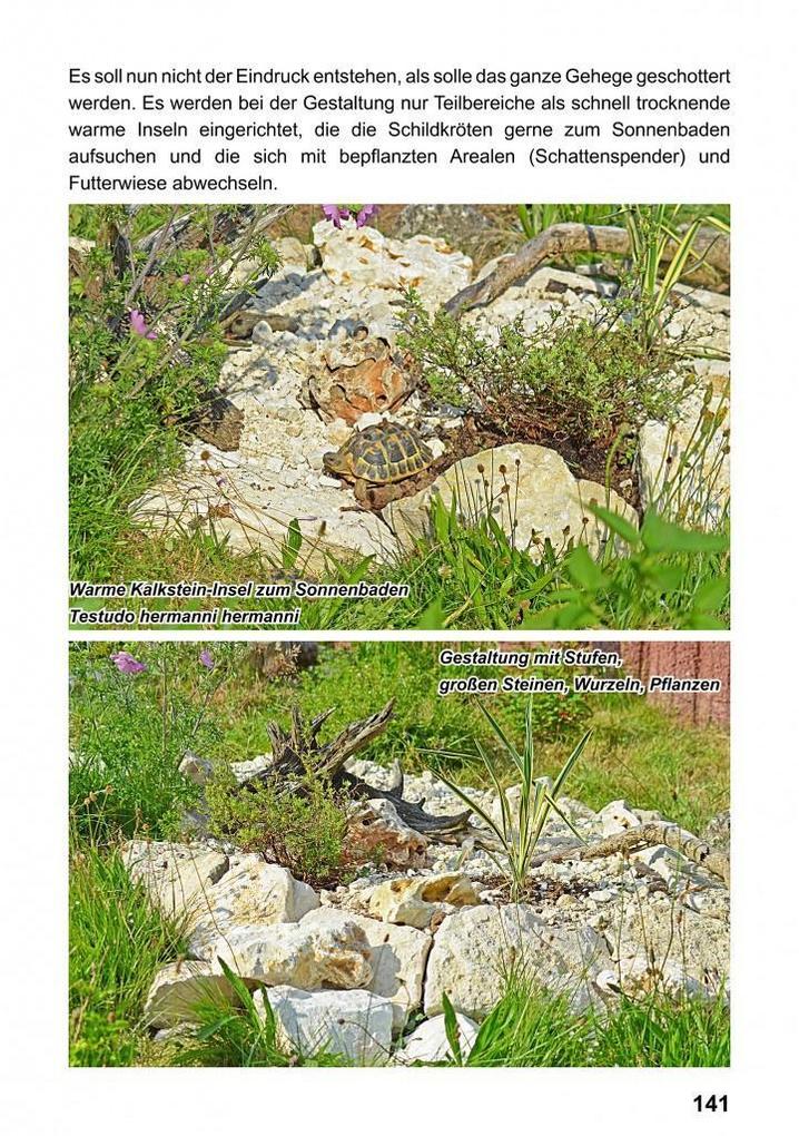 Weitere Ansicht: Landschildkröten-Freilandanlagen | Ricarda Schramm