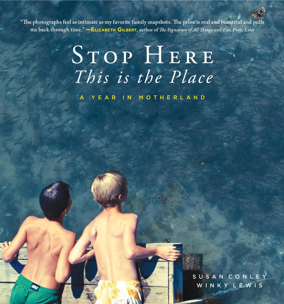 Produktbild: Stop Here, This is the Place | Susan Conley