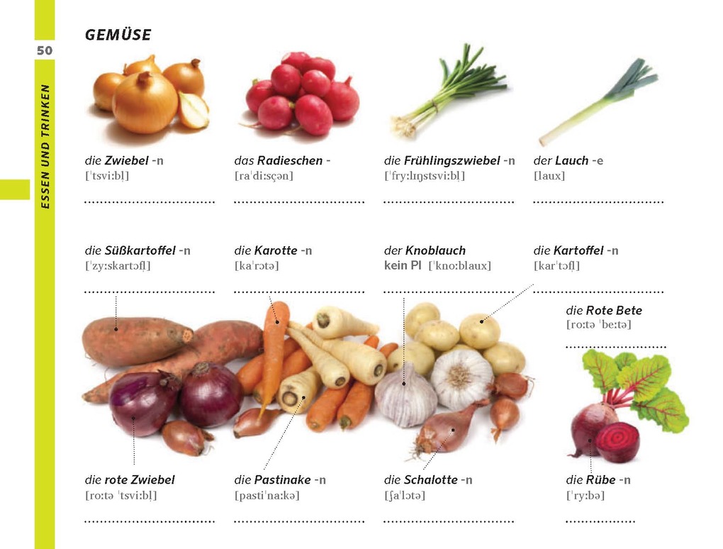 Weitere Ansicht: PONS Bildwörterbuch Deutsch als Fremdsprache