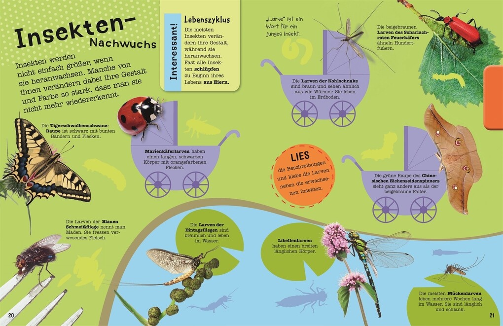 Weitere Ansicht: Das Mach-Malbuch Insekten