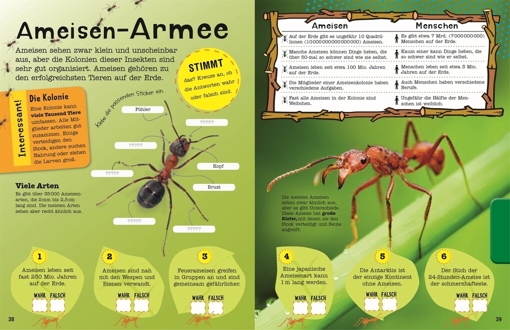 Weitere Ansicht: Das Mach-Malbuch Insekten
