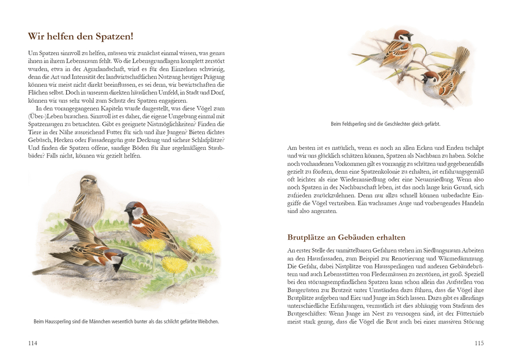 Weitere Ansicht: Mehr Platz für den Spatz! | Uwe Westphal