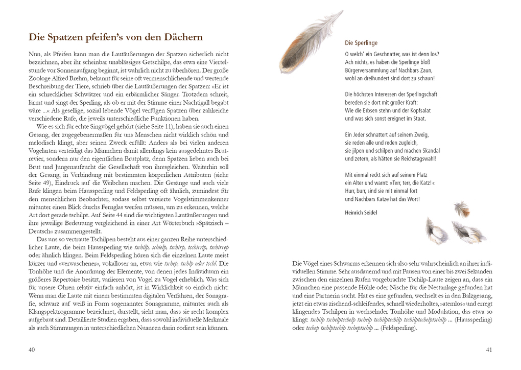 Weitere Ansicht: Mehr Platz für den Spatz! | Uwe Westphal