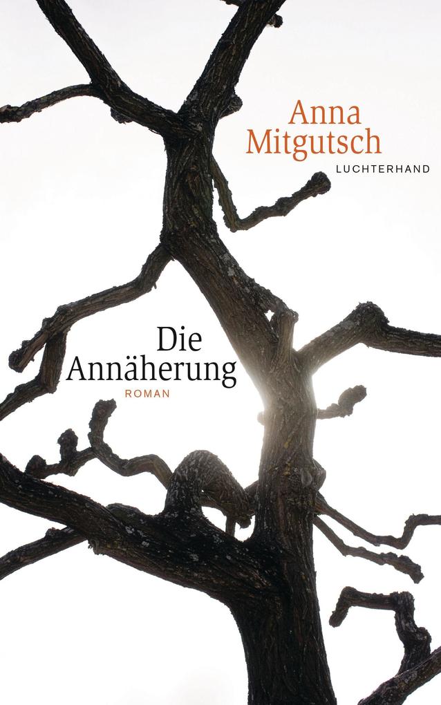 Produktbild: Die Annäherung | Anna Mitgutsch