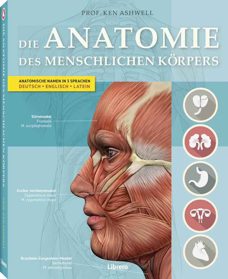 Produktbild: Der Menschliche Körper | Ken Ashwell