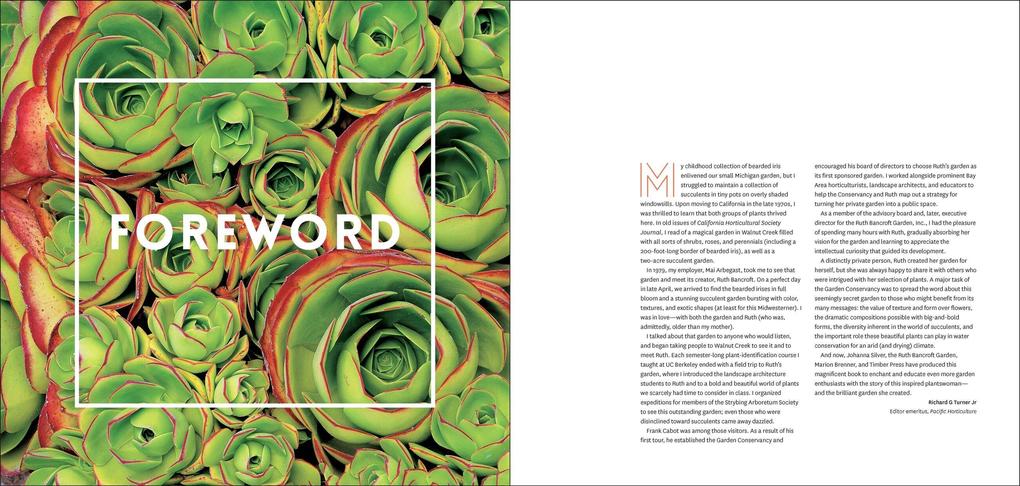 Weitere Ansicht: The Bold Dry Garden | Johanna Silver