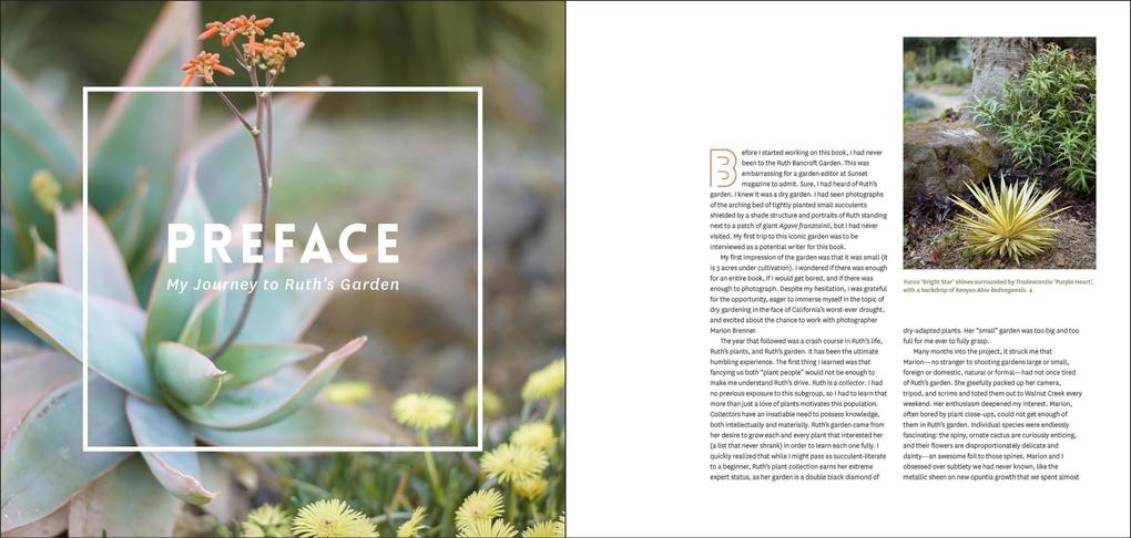 Weitere Ansicht: The Bold Dry Garden | Johanna Silver