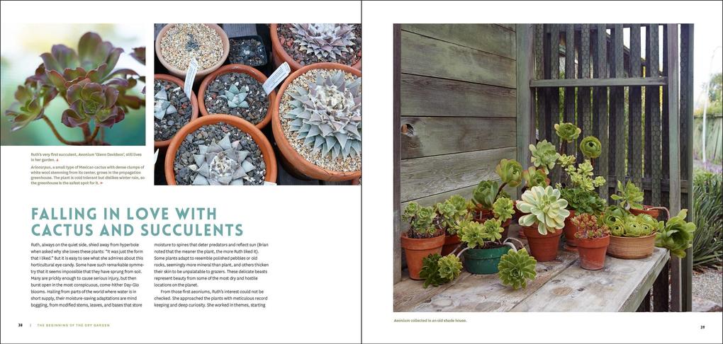 Weitere Ansicht: The Bold Dry Garden | Johanna Silver