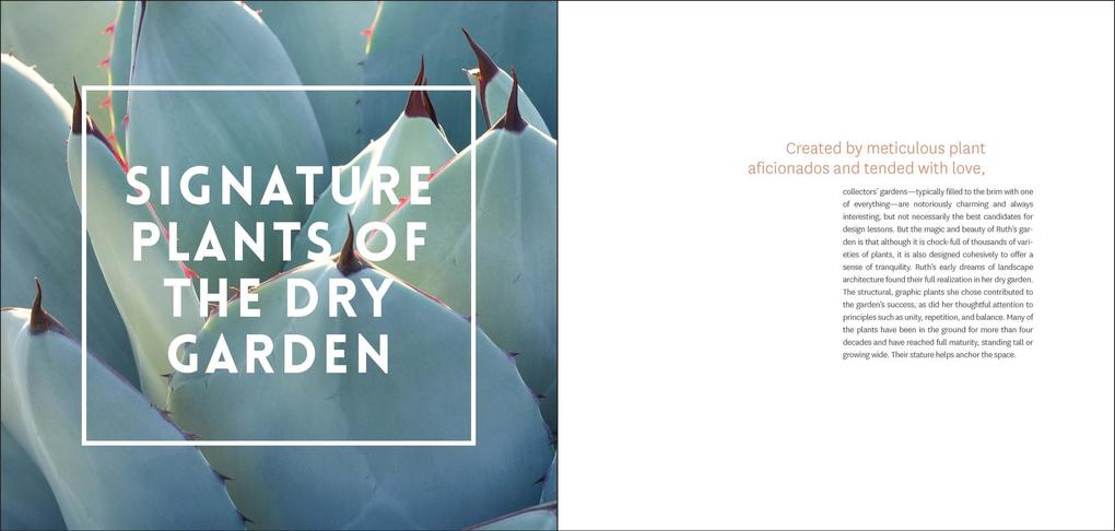 Weitere Ansicht: The Bold Dry Garden | Johanna Silver