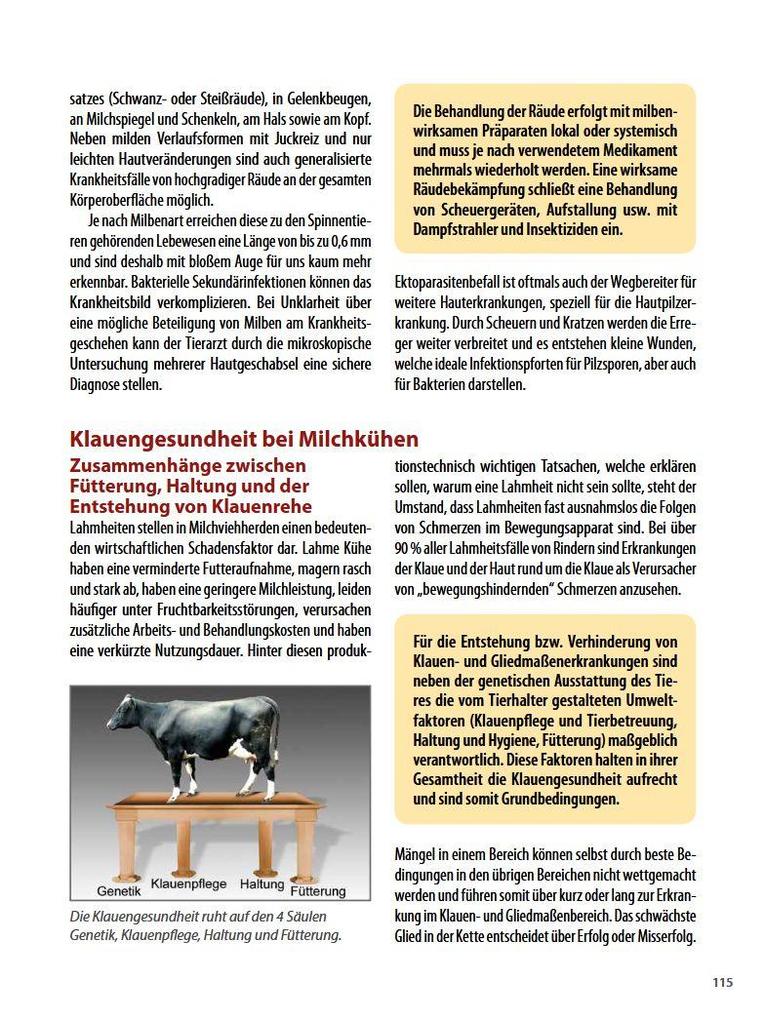 Weitere Ansicht: Die häufigsten Nutztierkrankheiten | Armin Deutz, Johann Gasteiner, Walter Obritzhauser