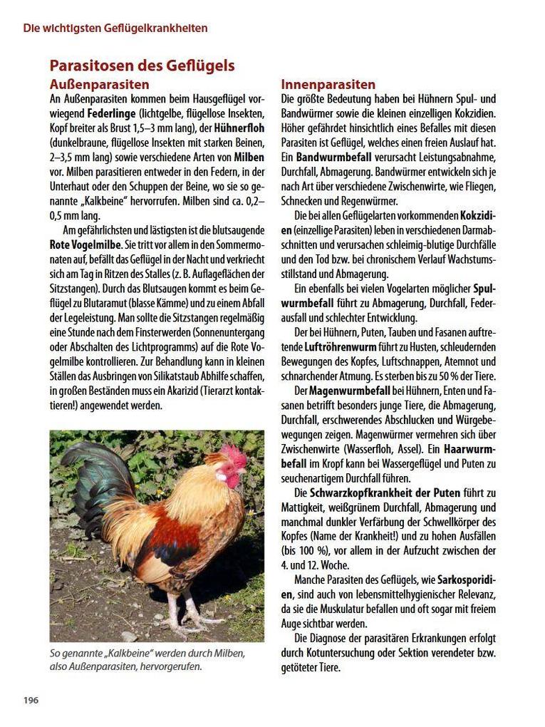 Weitere Ansicht: Die häufigsten Nutztierkrankheiten | Armin Deutz, Johann Gasteiner, Walter Obritzhauser