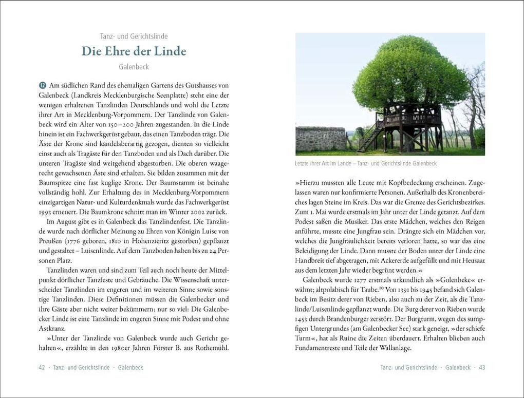 Weitere Ansicht: 50 sagenhafte Naturdenkmale in Mecklenburg-Vorpommern | Waldemar Siering