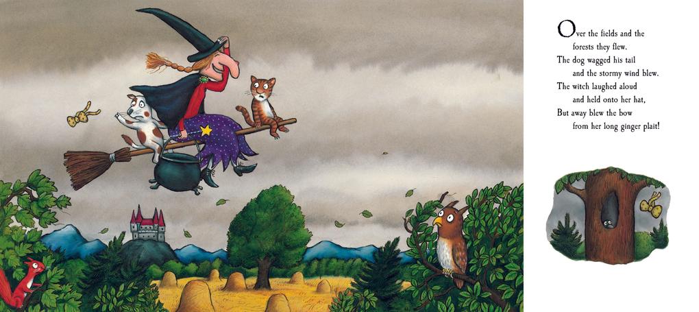 Weitere Ansicht: Room on the Broom | Julia Donaldson