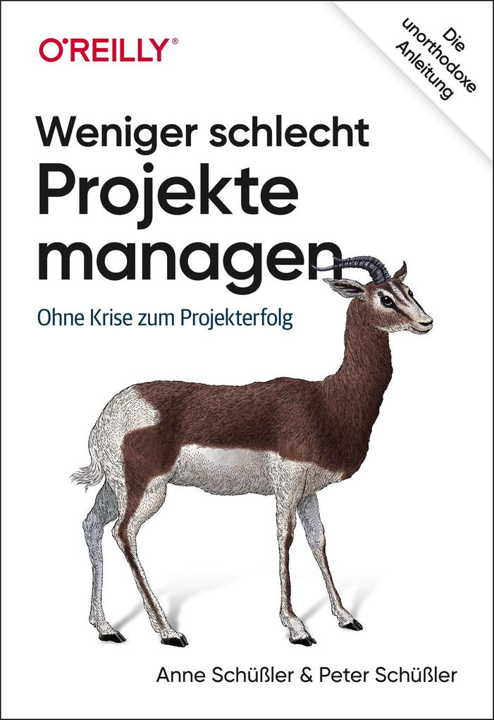 Produktbild: Weniger schlecht Projekte managen | Anne Schüßler, Peter Schüßler