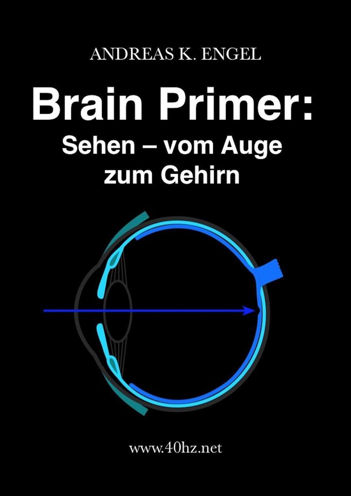 Brain Primer: Sehen - vom Auge zum Gehirn als eBook epub