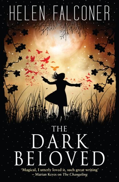 Produktbild: The Dark Beloved | Helen Falconer