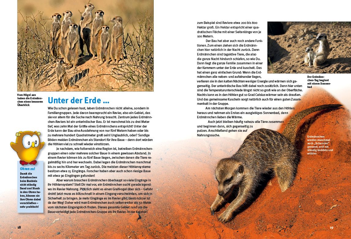 Weitere Ansicht: Entdecke die Erdmännchen | Christian Ehrlich