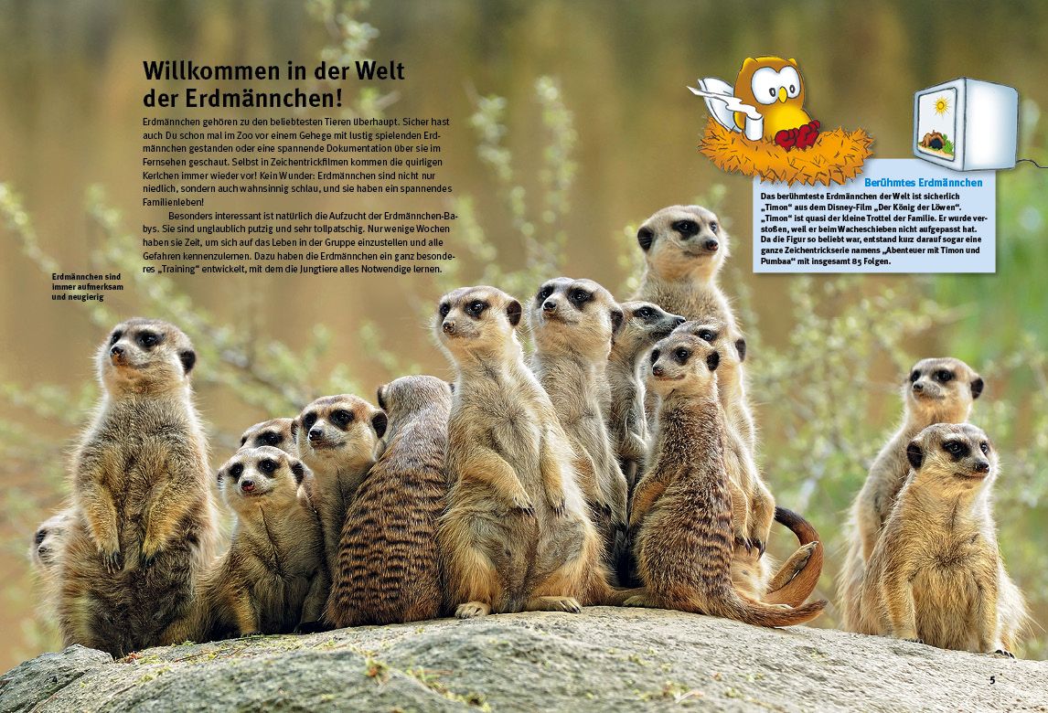 Weitere Ansicht: Entdecke die Erdmännchen | Christian Ehrlich
