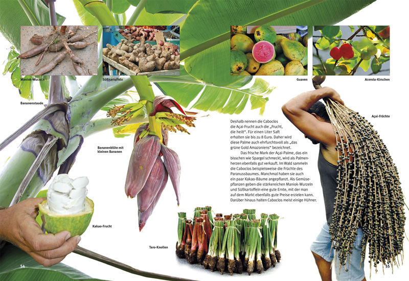 Weitere Ansicht: Entdecke den Amazonas-Regenwald | Lothar Staeck