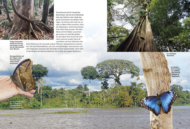 Weitere Ansicht: Entdecke den Amazonas-Regenwald | Lothar Staeck
