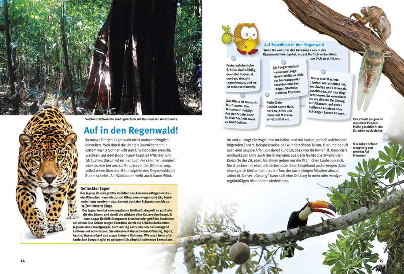 Weitere Ansicht: Entdecke den Amazonas-Regenwald | Lothar Staeck