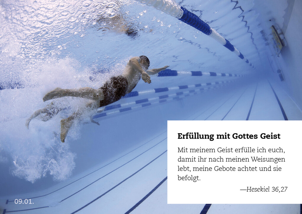 Weitere Ansicht: 365 Verheißungen