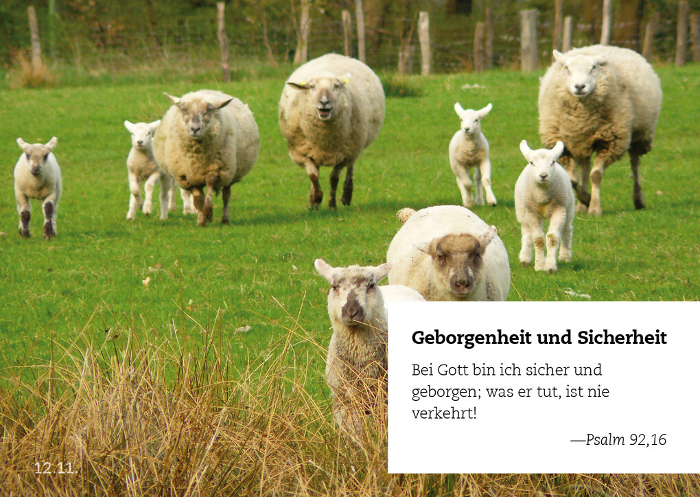 Weitere Ansicht: 365 Verheißungen