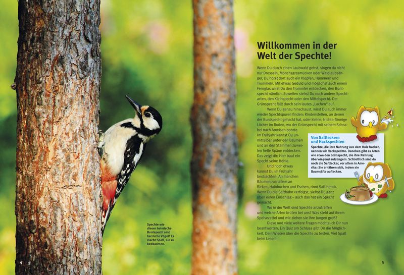 Weitere Ansicht: Entdecke den Specht | Klaus Ruge
