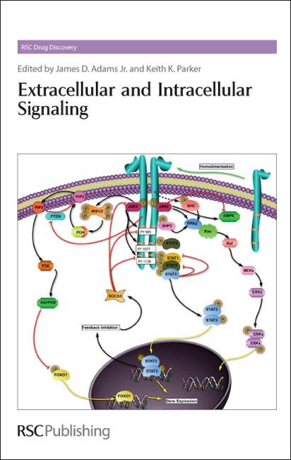 Produktbild: Extracellular and Intracellular Signaling