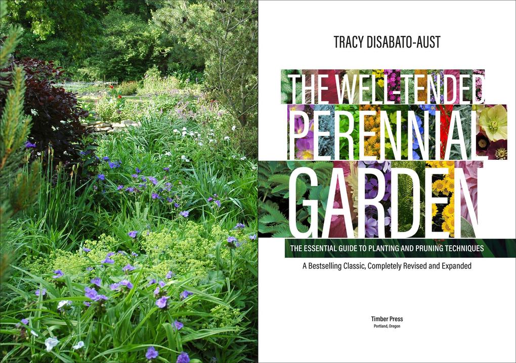 Weitere Ansicht: The Well-Tended Perennial Garden | Tracy DiSabato-Aust