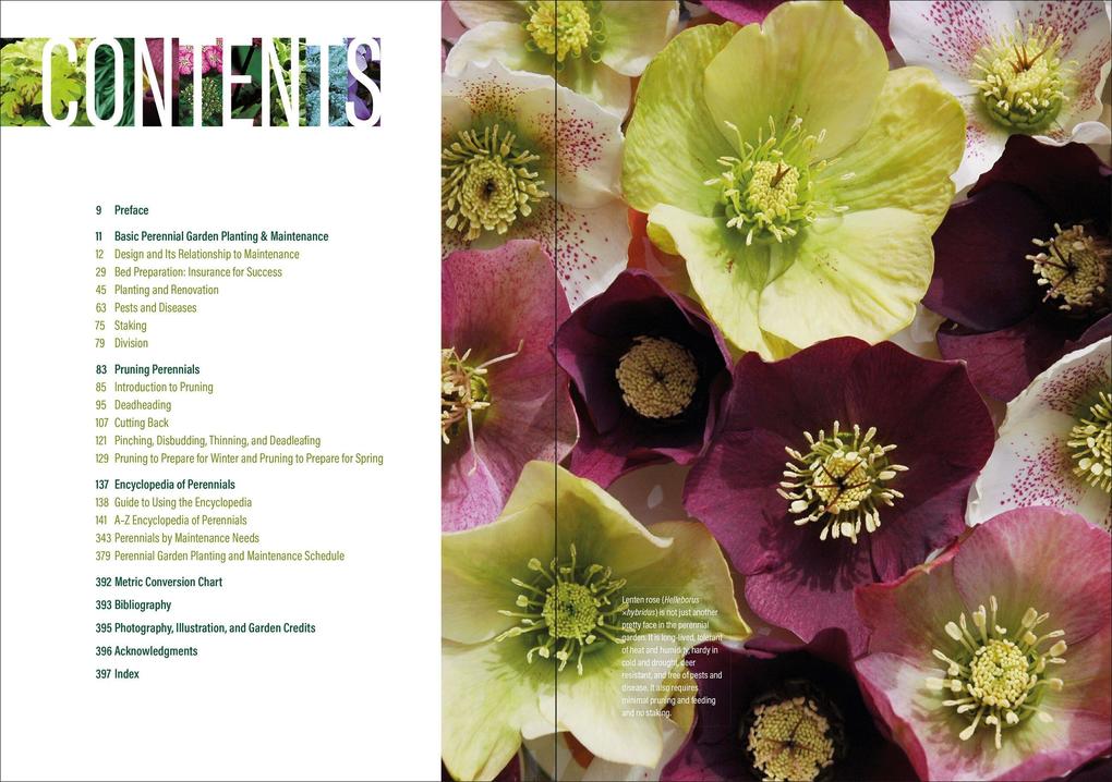 Weitere Ansicht: The Well-Tended Perennial Garden | Tracy DiSabato-Aust