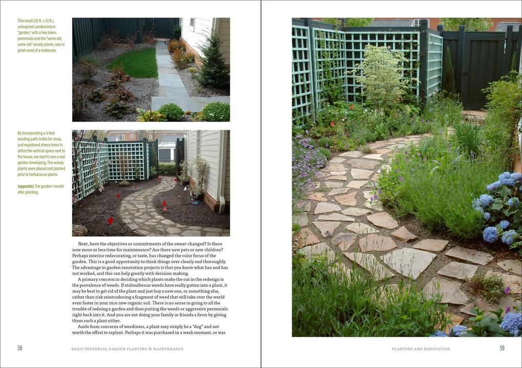 Weitere Ansicht: The Well-Tended Perennial Garden | Tracy DiSabato-Aust