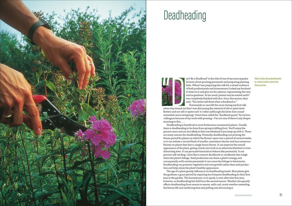 Weitere Ansicht: The Well-Tended Perennial Garden | Tracy DiSabato-Aust