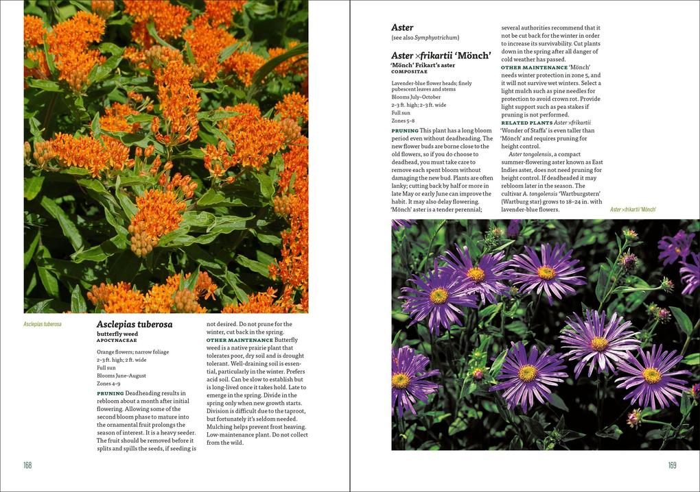 Weitere Ansicht: The Well-Tended Perennial Garden | Tracy DiSabato-Aust