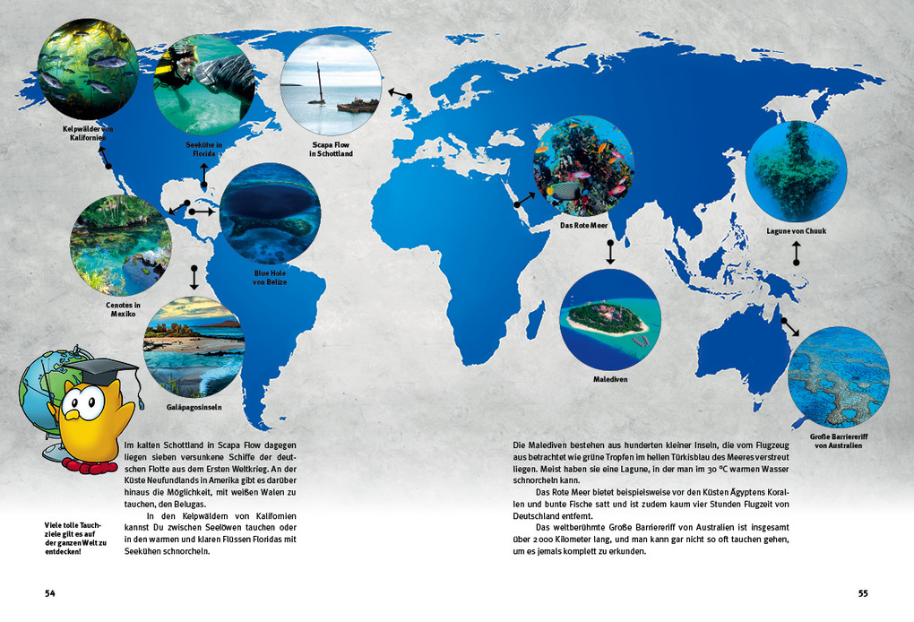 Weitere Ansicht: Entdecke das Tauchen | Frank Rossow