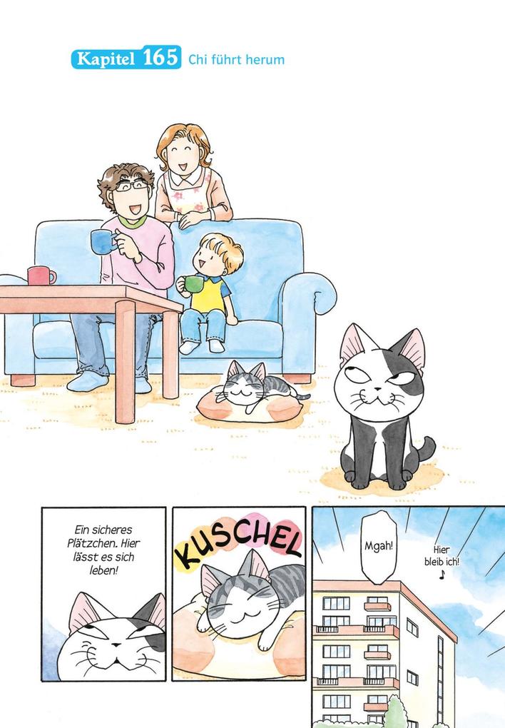 Weitere Ansicht: Kleine Katze Chi 10 | Konami Kanata