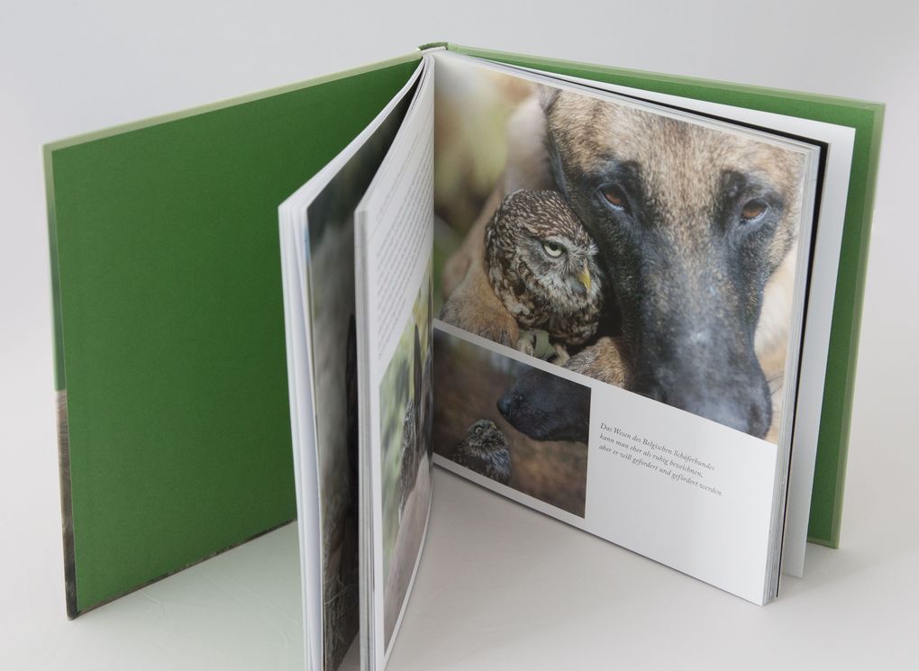 Weitere Ansicht: Wo die Liebe hinfliegt | Tanja Brandt