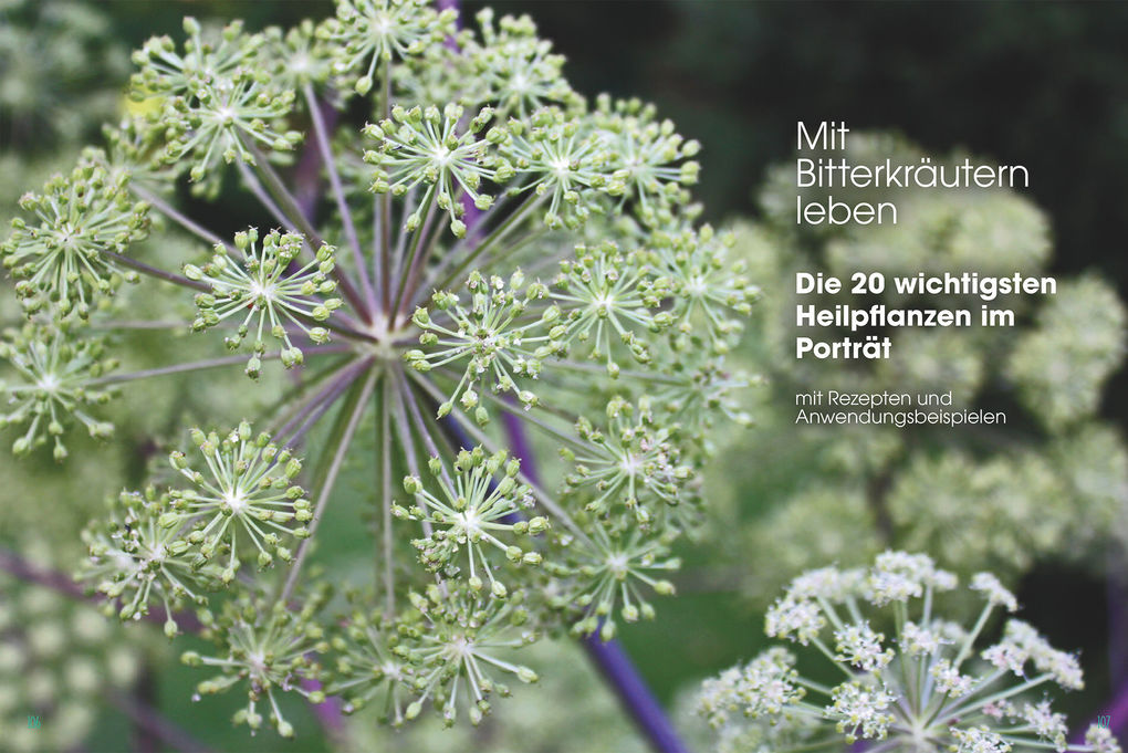 Weitere Ansicht: Gut, besser, bitter | Andreas Hammering