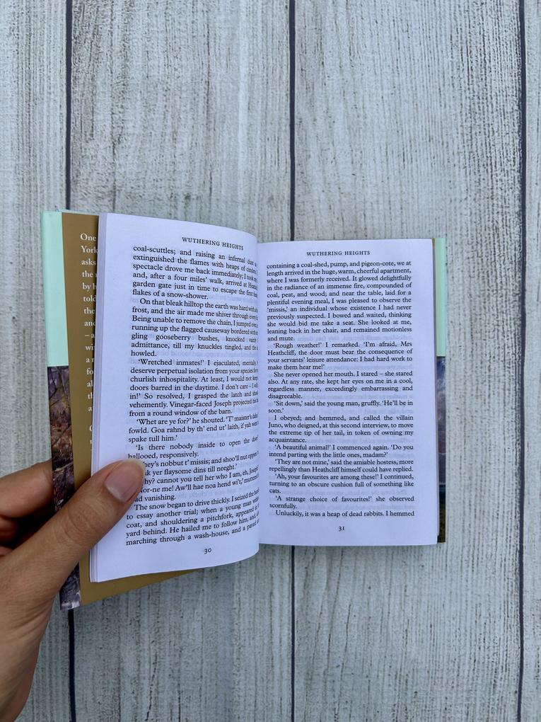 Weitere Ansicht: Wuthering Heights | Emily Bronte