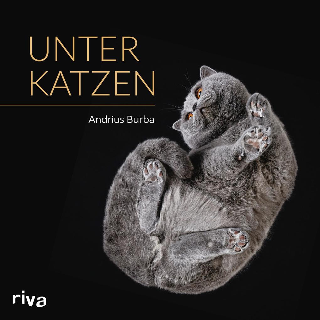 Produktbild: Unter Katzen | Andrius Burba