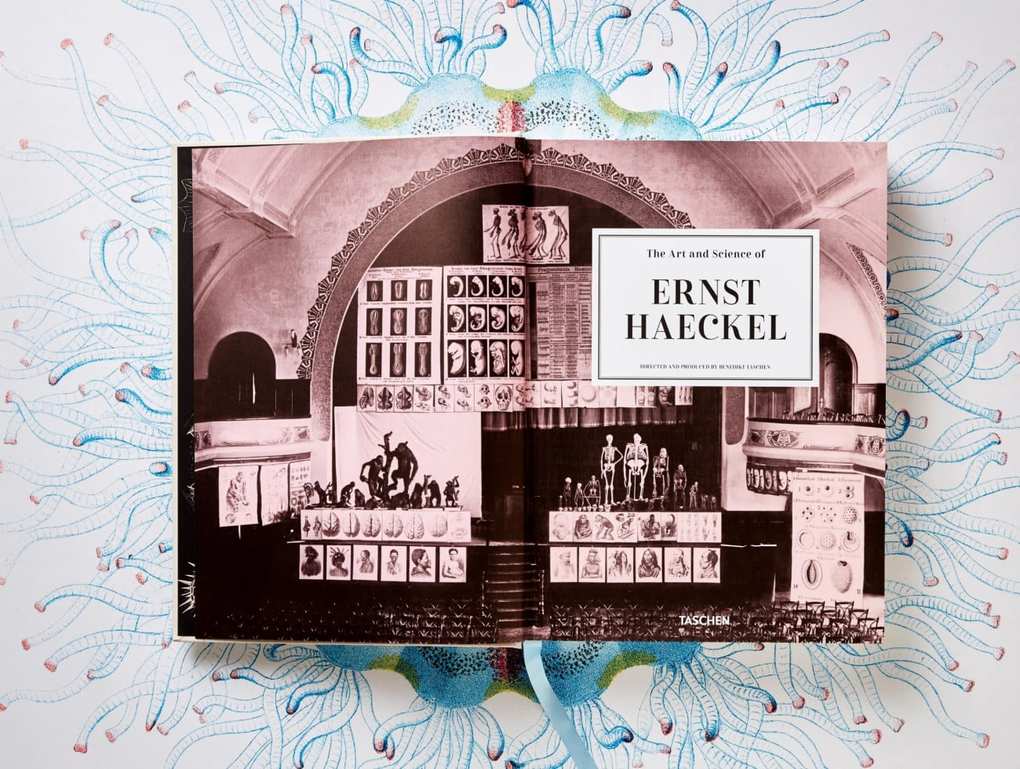 Weitere Ansicht: The Art and Science of Ernst Haeckel | Rainer Willmann, Julia Voss