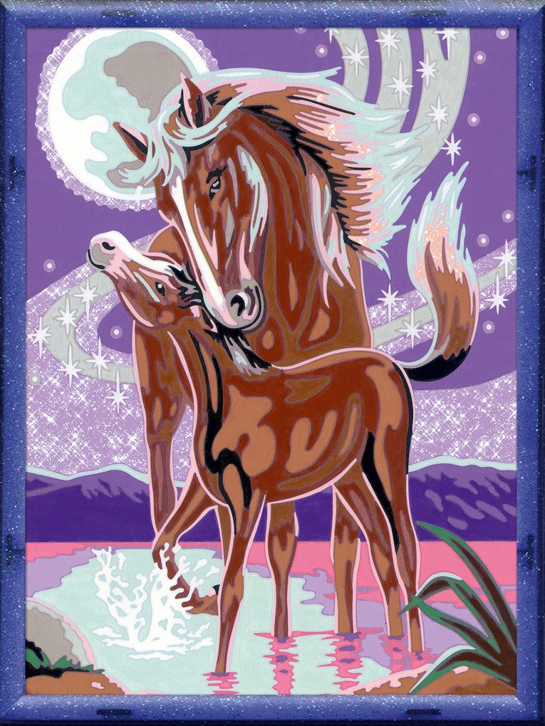 Weitere Ansicht: Pferdegeflüster. Malen nach Zahlen Serie D Romantik