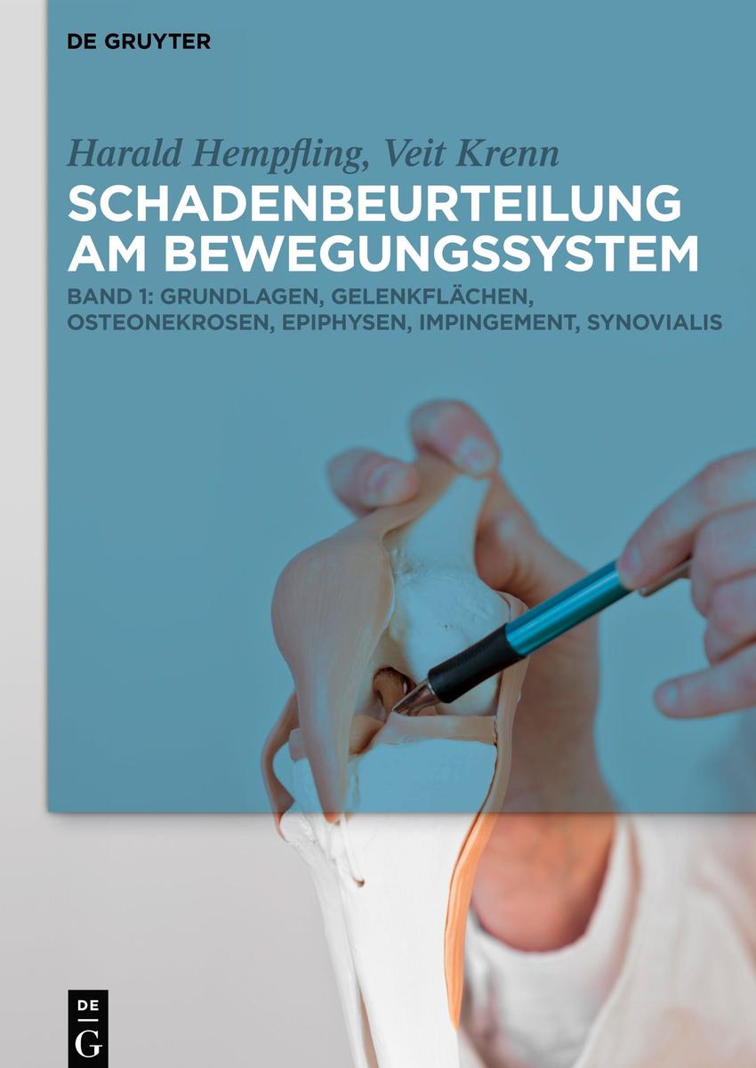 Produktbild: Grundlagen, Gelenkflächen, Osteonekrosen, Epiphysen, Impingement, Synovialis | Peter W. Gaidzik, Peter Brill, Michael Meyer-Clement