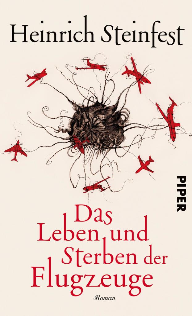 Produktbild: Das Leben und Sterben der Flugzeuge | Heinrich Steinfest