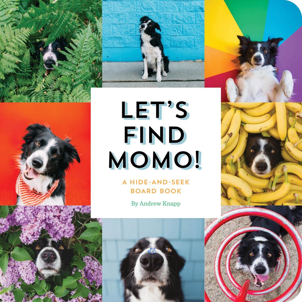 Produktbild: Let's Find Momo! | Andrew Knapp