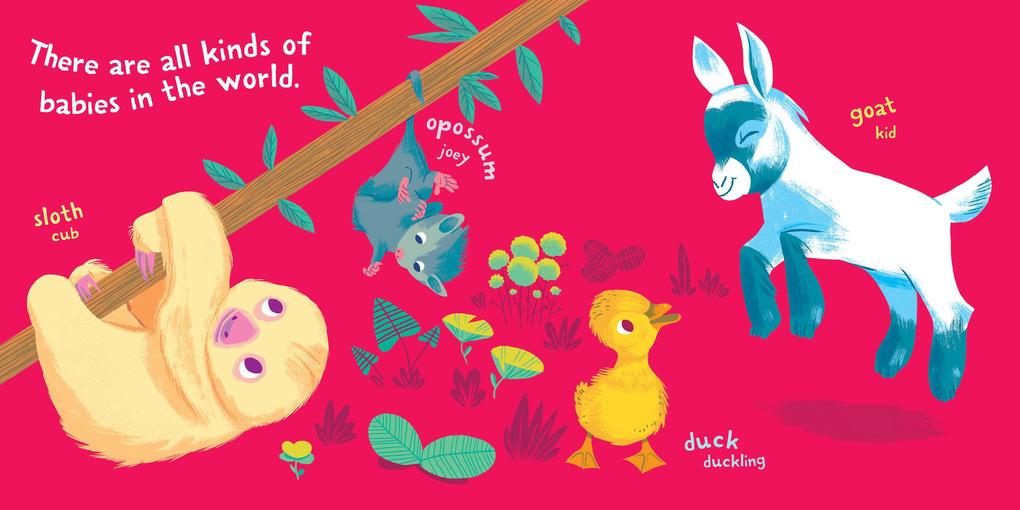 Weitere Ansicht: Indestructibles: Baby Animals | Stephan Lomp, Amy Pixton